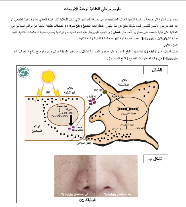 تمرين إنزيمات مرفق بالحل للباكالوريا1734548561.pdf